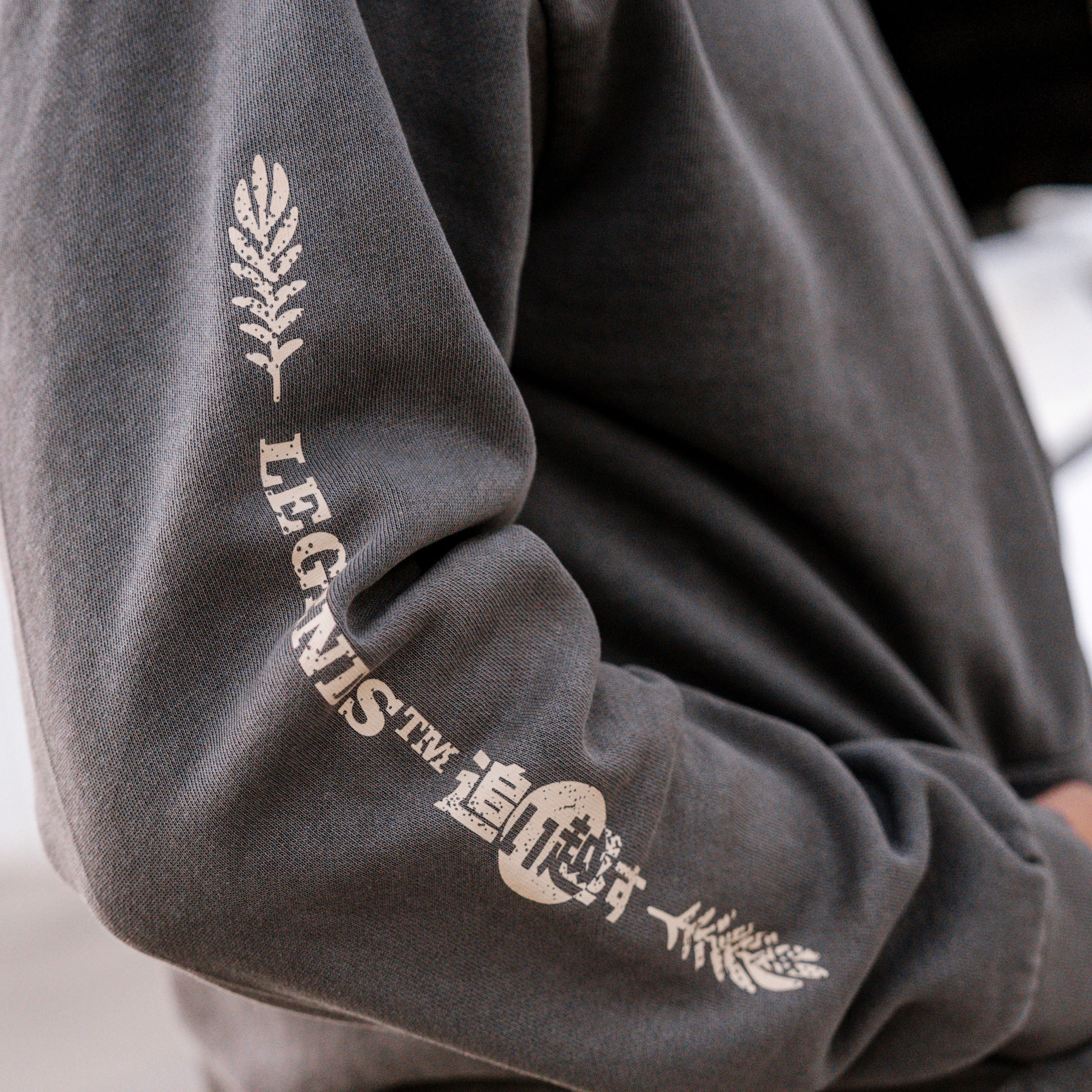 Hoodie - Grey Ambition