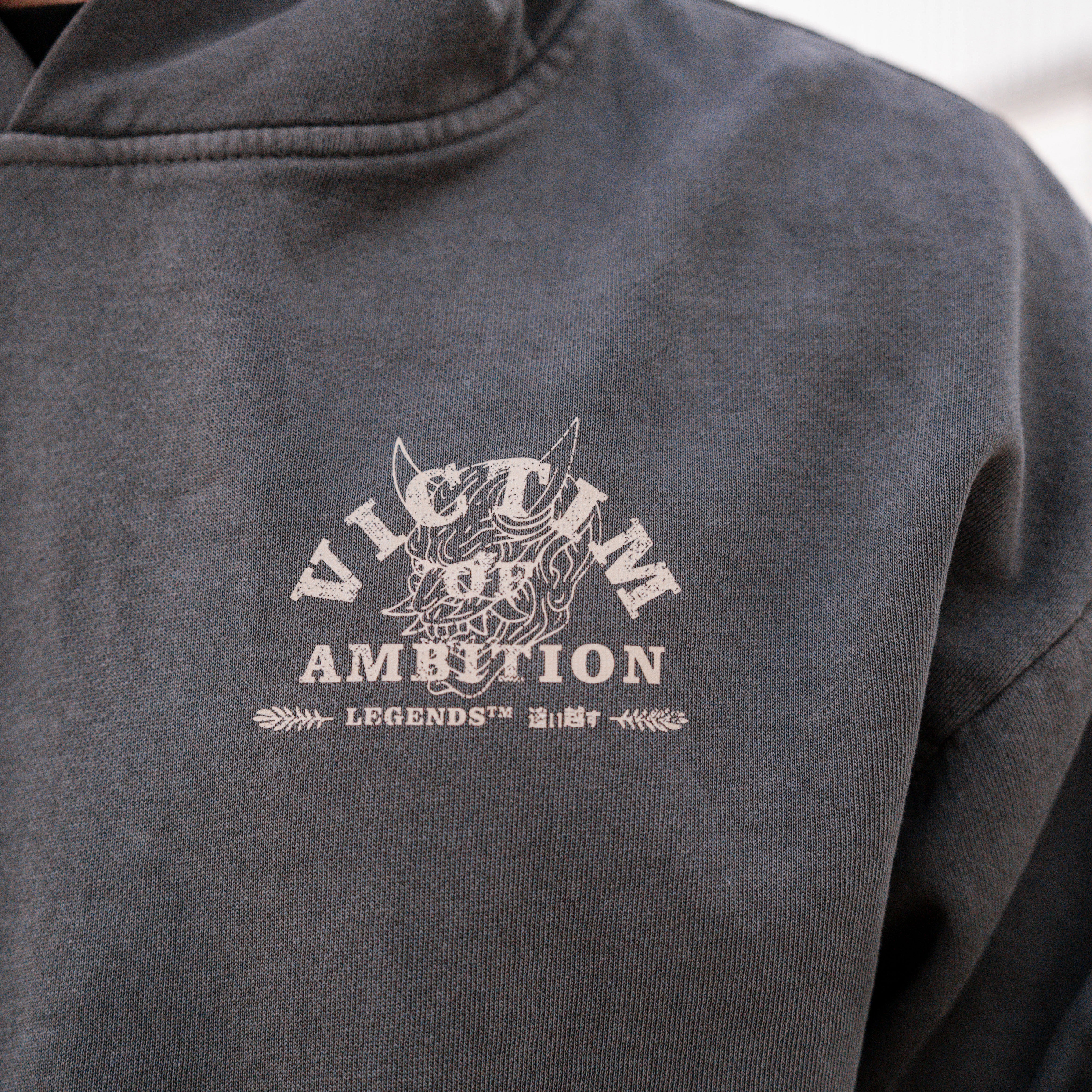 Hoodie - Grey Ambition
